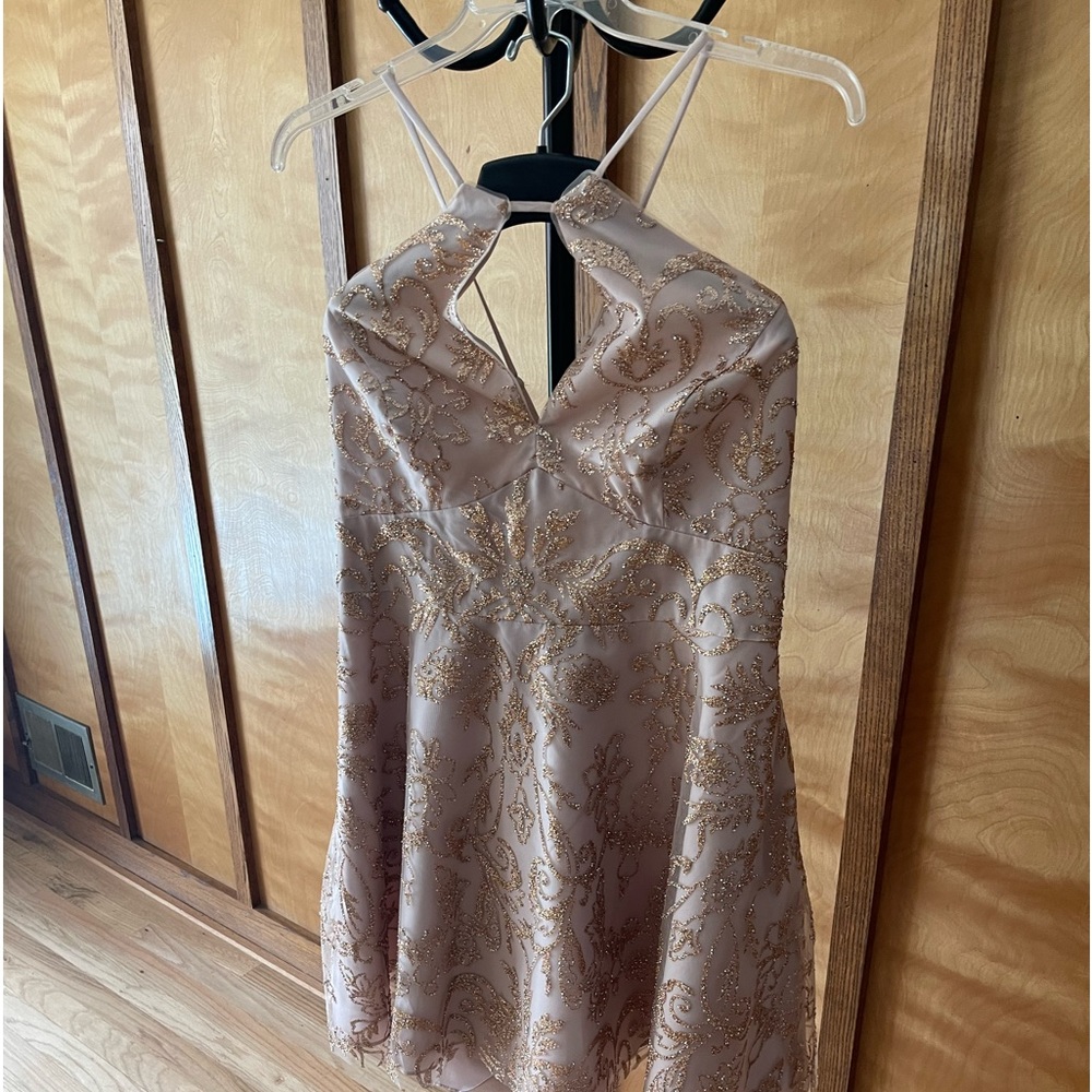 David’s bridal plus size prom dress